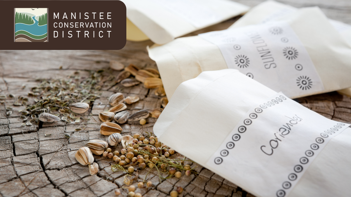 spilled seeds out of two seed packets, Manistee Conversation District logo with trees and river