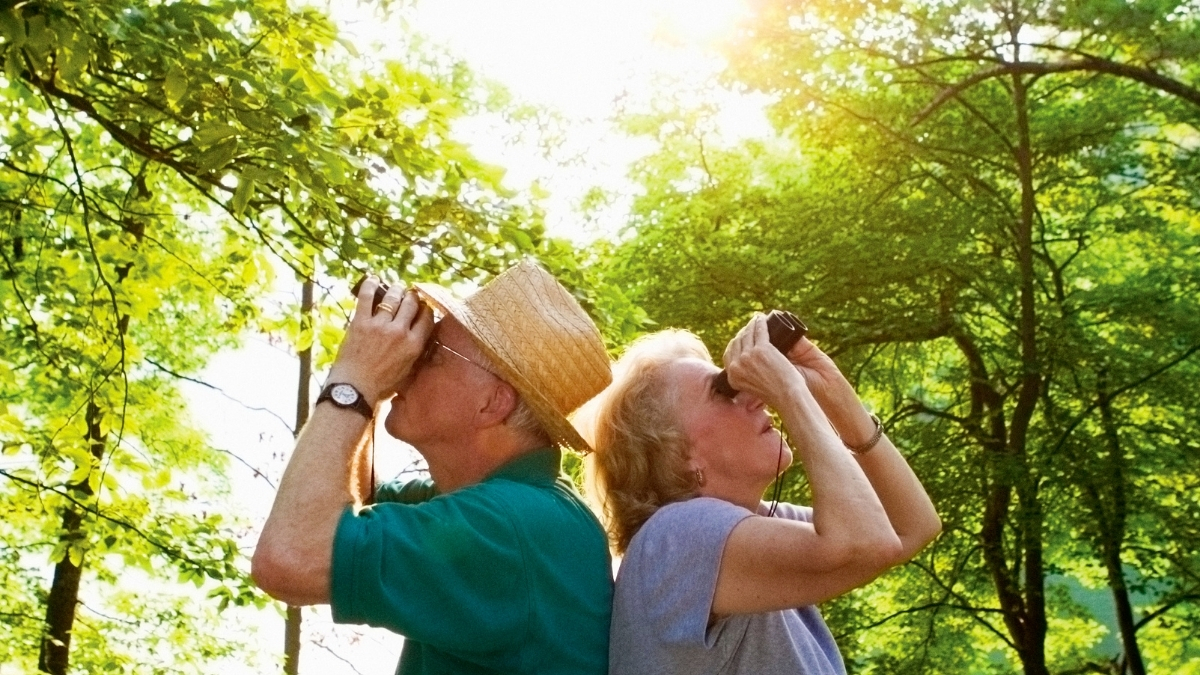 Two people use binoculars to bird watch