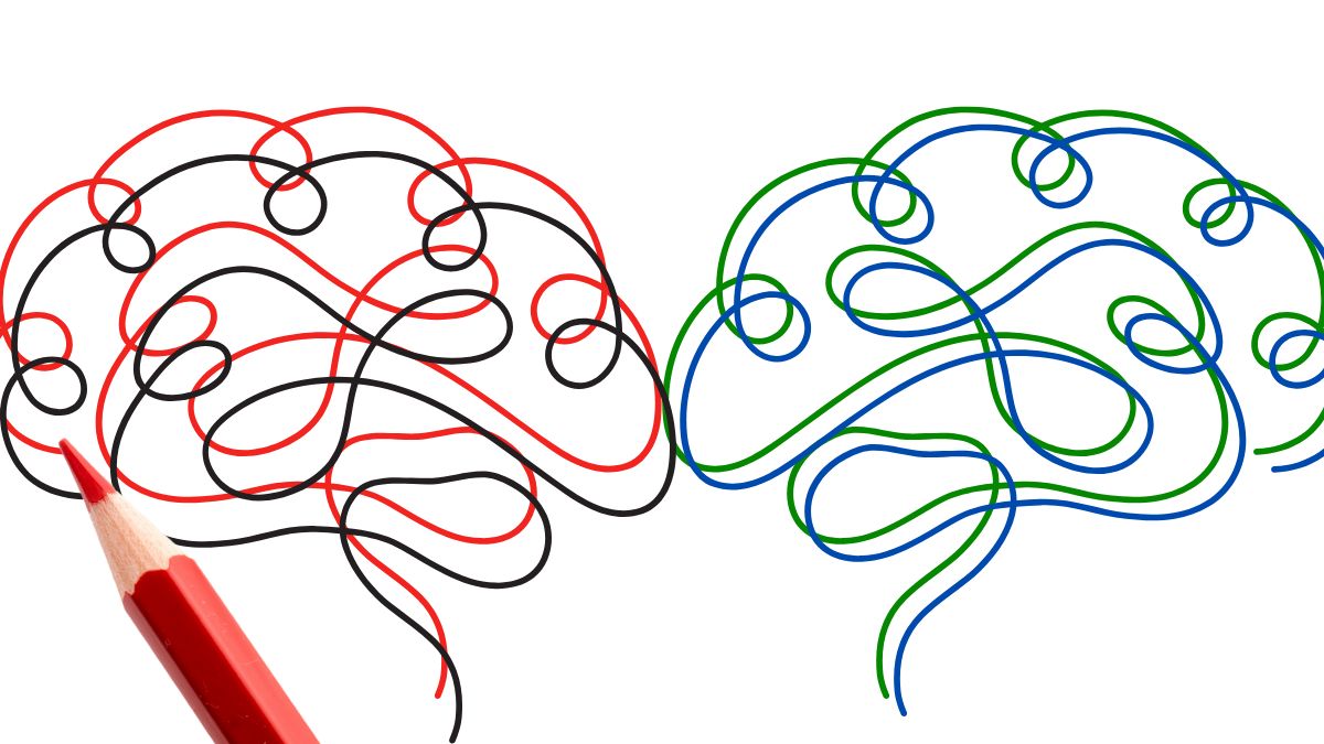 Hand drawn brains with red pencil also shown