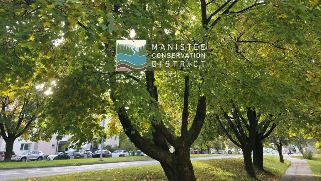 Manistee Conservation District Logo