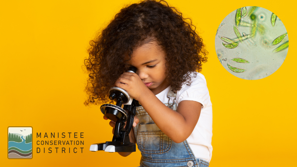 child looking through microscope, slide of plankton