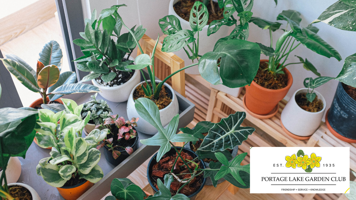 assortment of potted house plants. "Portage Lake Garden Club" logo.