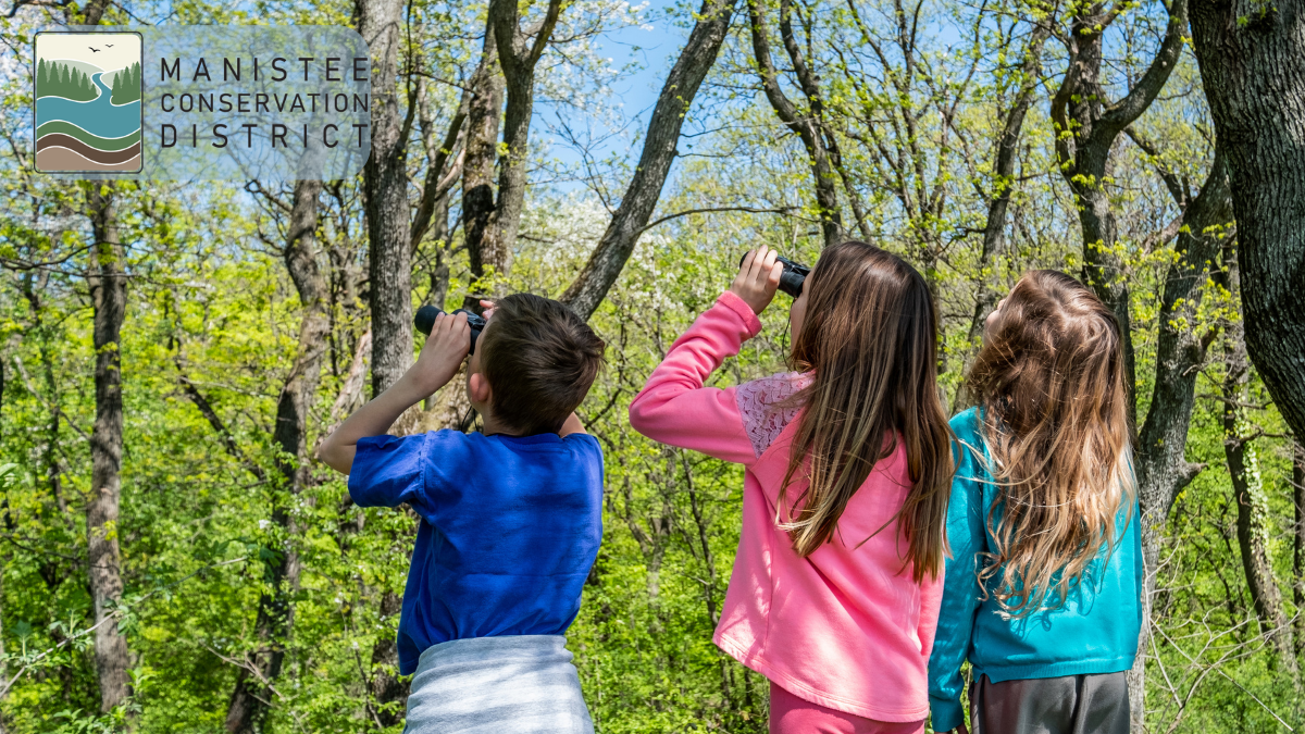 kids using binoculars to identify trees