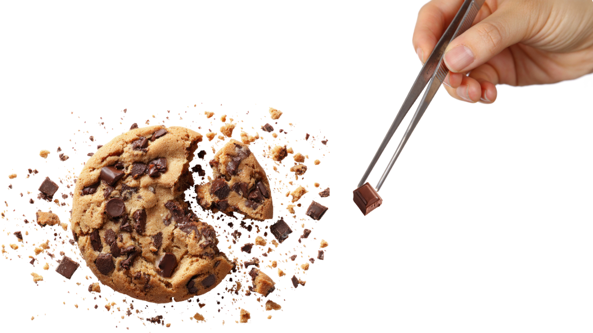 chocolate chip cookie crumbling, hands with tweezers dissecting choc chip